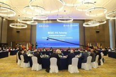 2020“一带一路”经济与环境合作高级别圆桌会议在南京召开